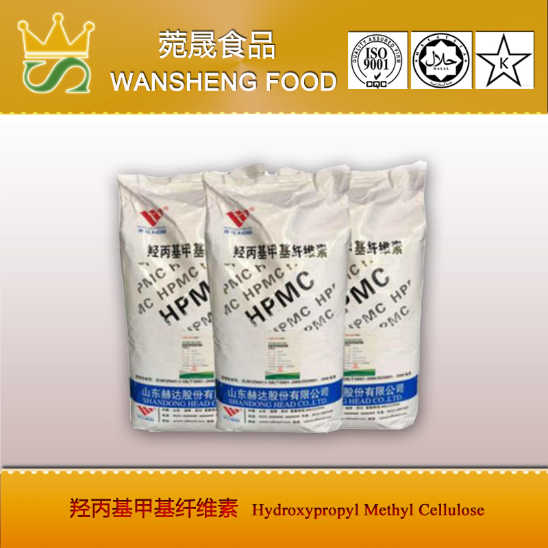 Hydroxypropyl Methyl Cellulose